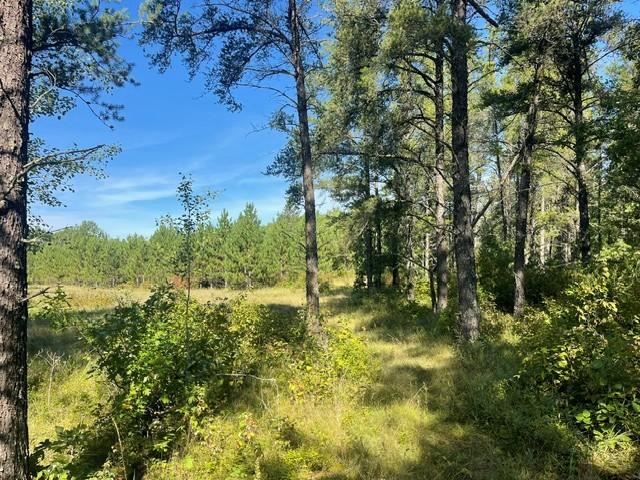 land for sale at TBD 380th Street in Menahga, MN (photo 6 of 22)
