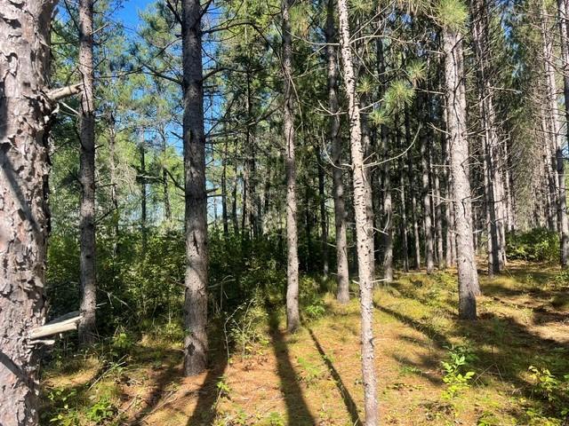 land for sale at TBD 380th Street in Menahga, MN (photo 7 of 22)