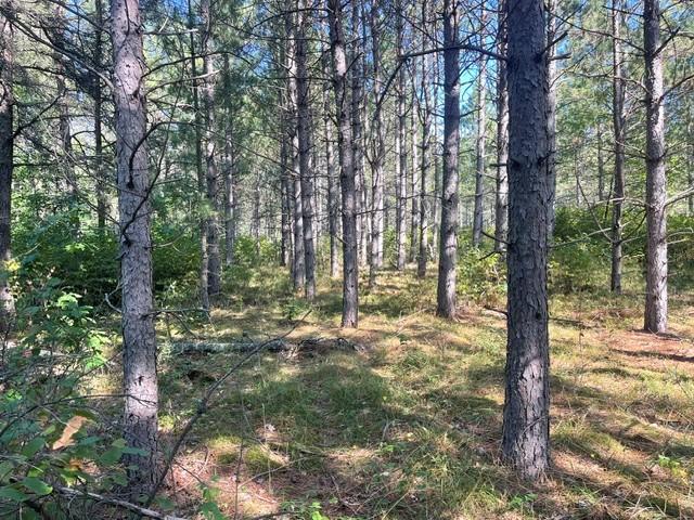land for sale at TBD 380th Street in Menahga, MN (photo 8 of 22)