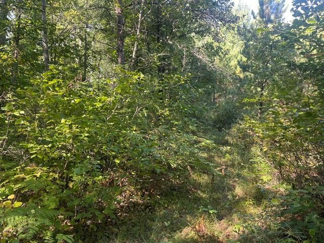land for sale at TBD 380th Street in Menahga, MN (photo 9 of 22)