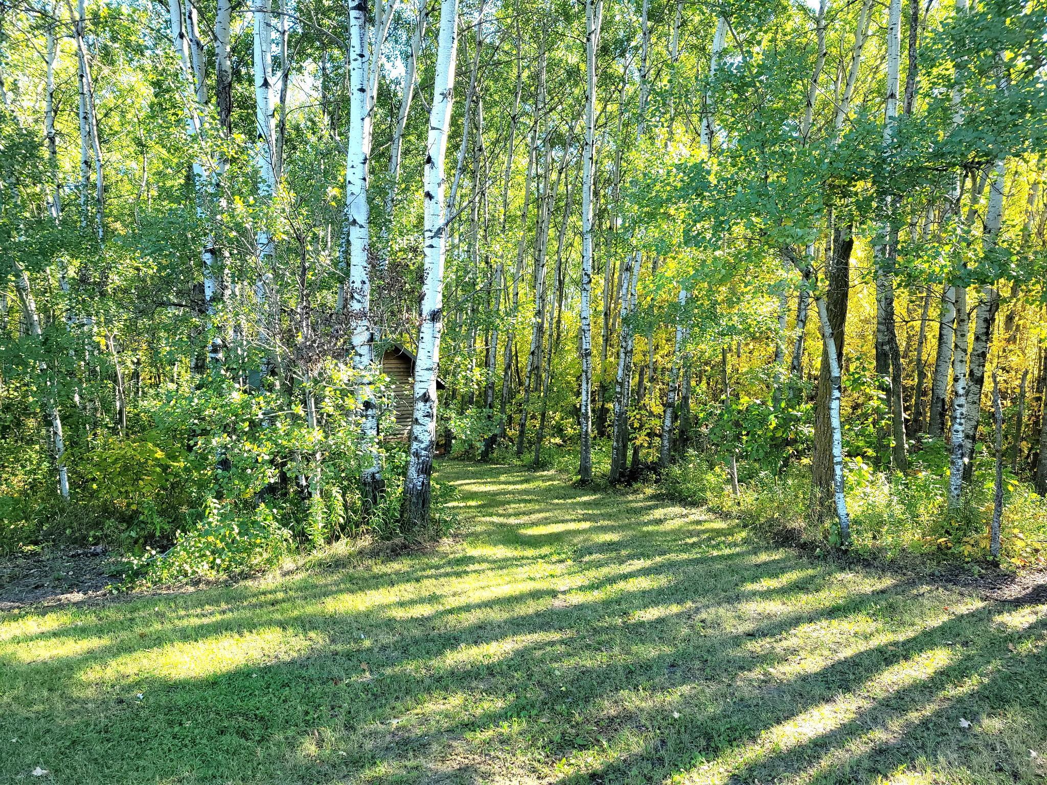 2012 single family home for sale at 26317 370th Avenue in Roseau, MN — 1 bed, 0 bath (photo 9 of 16)