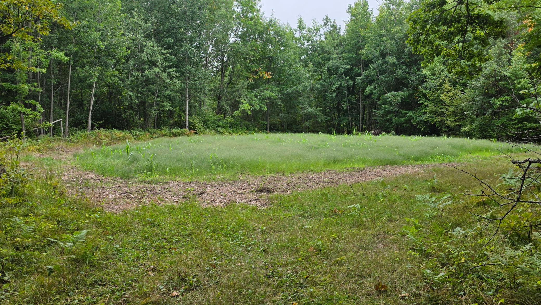1965 single family home for sale at 6507 Krussow Drive NE in Remer, MN — 3 bed, 2 bath (photo 32 of 33)
