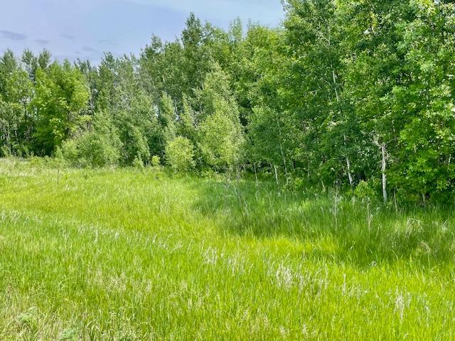 land for sale at T134-R37 SEC.30 / HWY 67 HWY 67 in Henning, MN (photo 2 of 33)