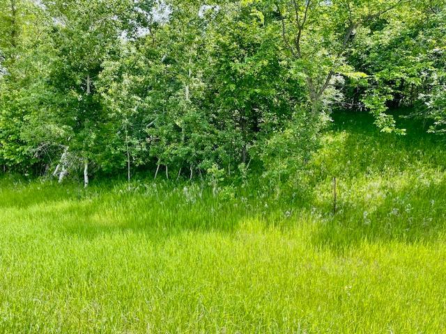 land for sale at T134-R37 SEC.30 / HWY 67 HWY 67 in Henning, MN (photo 11 of 33)