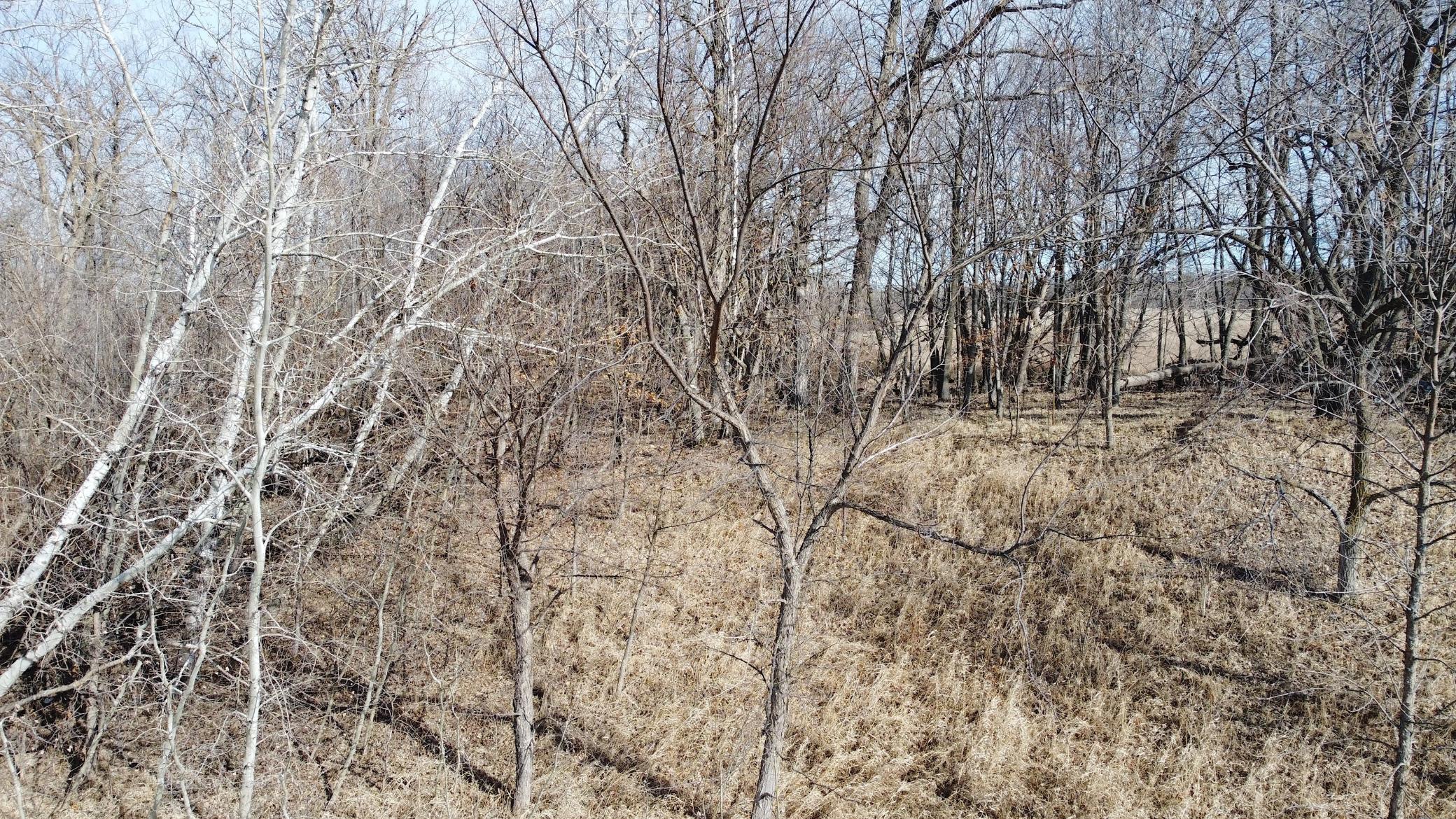 land for sale at T134-R37 SEC.30 / HWY 67 HWY 67 in Henning, MN (photo 17 of 33)