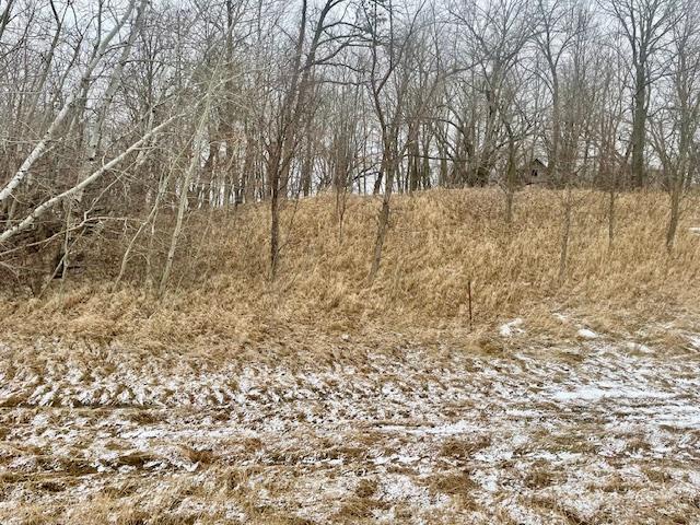 land for sale at T134-R37 SEC.30 / HWY 67 HWY 67 in Henning, MN (photo 18 of 33)