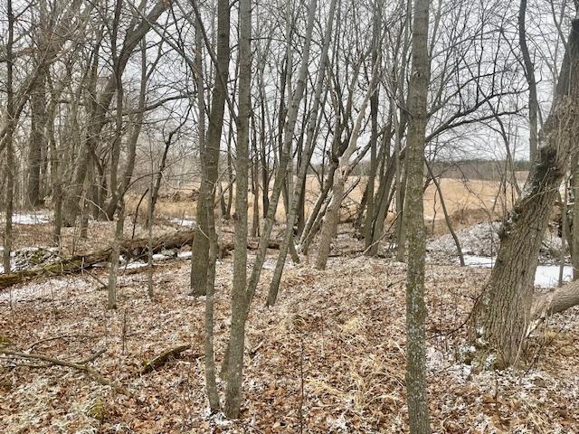 land for sale at T134-R37 SEC.30 / HWY 67 HWY 67 in Henning, MN (photo 19 of 33)