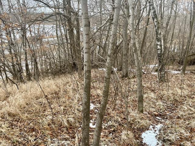 land for sale at T134-R37 SEC.30 / HWY 67 HWY 67 in Henning, MN (photo 22 of 33)