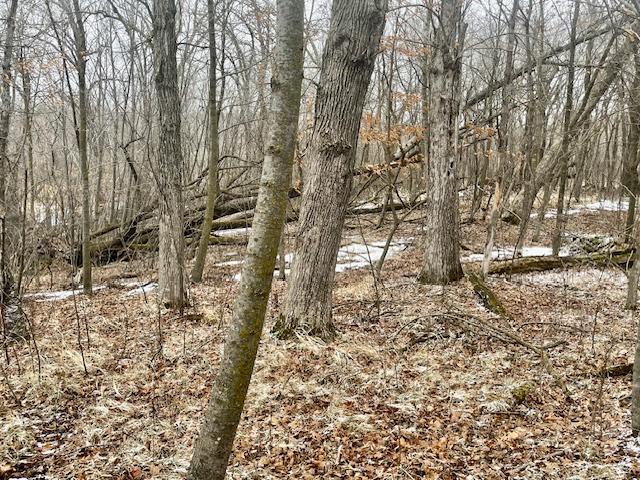 land for sale at T134-R37 SEC.30 / HWY 67 HWY 67 in Henning, MN (photo 23 of 33)