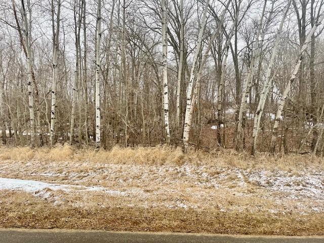 land for sale at T134-R37 SEC.30 / HWY 67 HWY 67 in Henning, MN (photo 24 of 33)