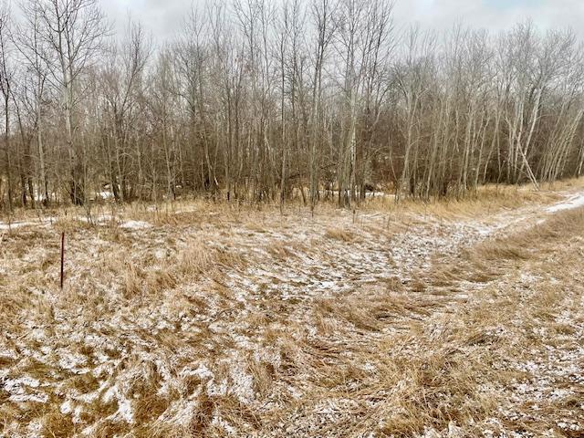 land for sale at T134-R37 SEC.30 / HWY 67 HWY 67 in Henning, MN (photo 26 of 33)