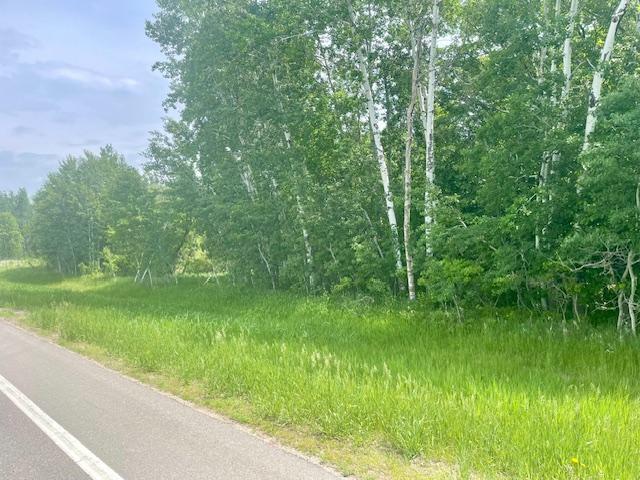 land for sale at T134-R37 SEC.30 / HWY 67 HWY 67 in Henning, MN (photo 30 of 33)