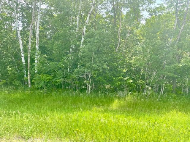 land for sale at T134-R37 SEC.30 / HWY 67 HWY 67 in Henning, MN (photo 31 of 33)