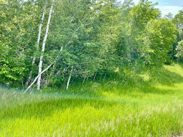 land for sale at T134-R37 SEC.30 / HWY 67 HWY 67 in Henning, MN (photo 32 of 33)