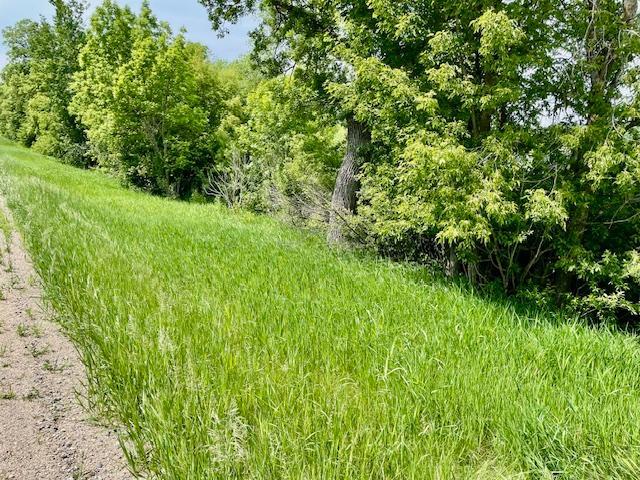 land for sale at T134-R37 SEC.30 / HWY 67 HWY 67 in Henning, MN (photo 33 of 33)
