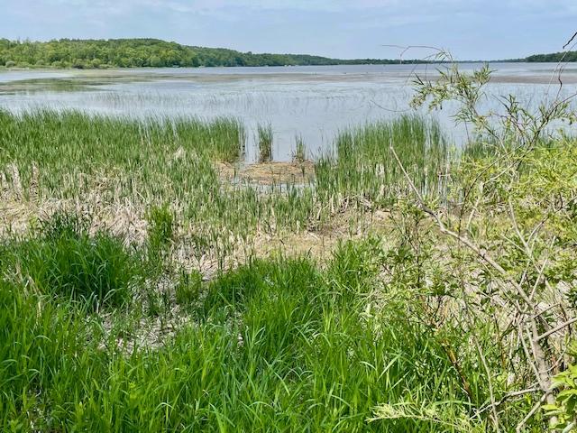 land for sale at T134-R37 SEC.30 / HWY 67 HWY 67 in Henning, MN (photo 5 of 33)
