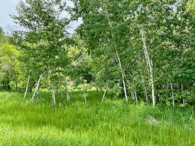 land for sale at T134-R37 SEC.30 / HWY 67 HWY 67 in Henning, MN (photo 6 of 33)