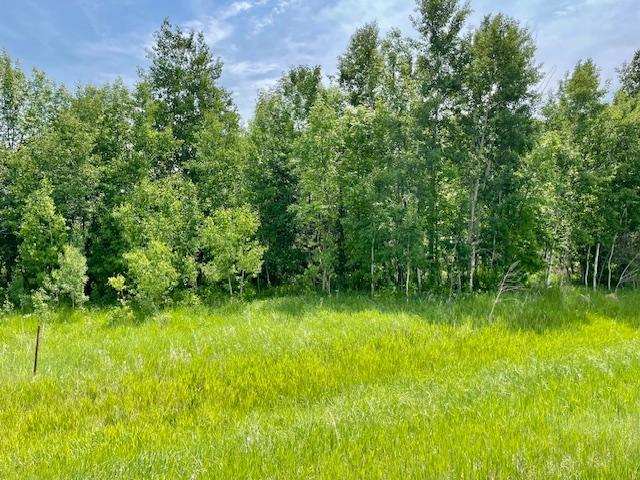 land for sale at T134-R37 SEC.30 / HWY 67 HWY 67 in Henning, MN (photo 7 of 33)