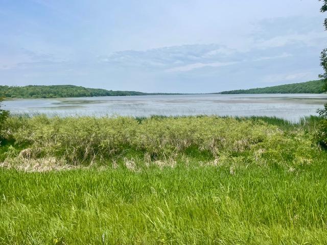 land for sale at T134-R37 SEC.30 / HWY 67 HWY 67 in Henning, MN (photo 9 of 33)