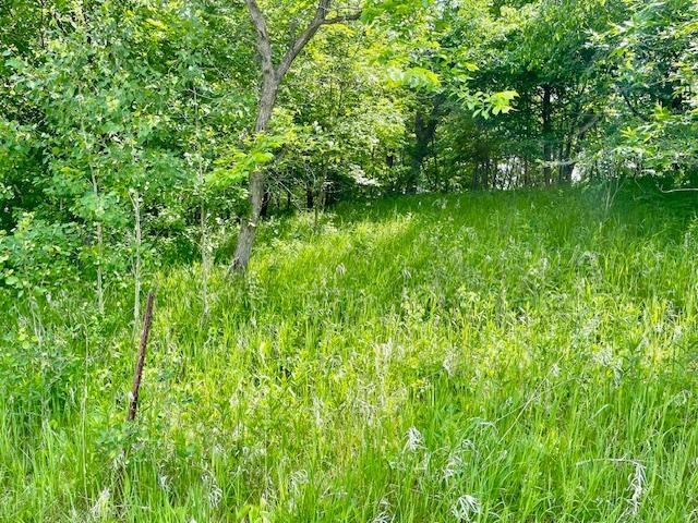 land for sale at T134-R37 SEC.30 / HWY 67 HWY 67 in Henning, MN (photo 10 of 33)