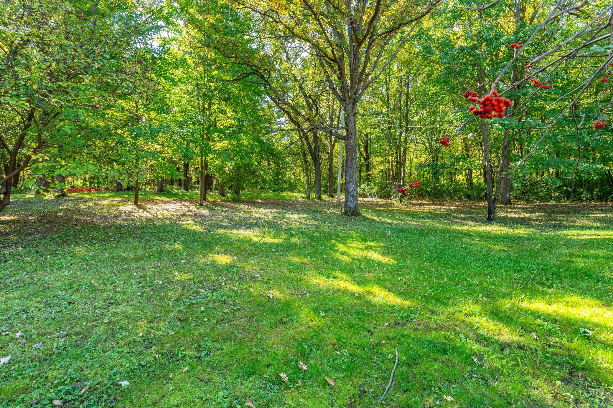 1976 single family home for sale at 36117 US 71 in Eagle Bend, MN — 4 bed, 2 bath (photo 58 of 74)