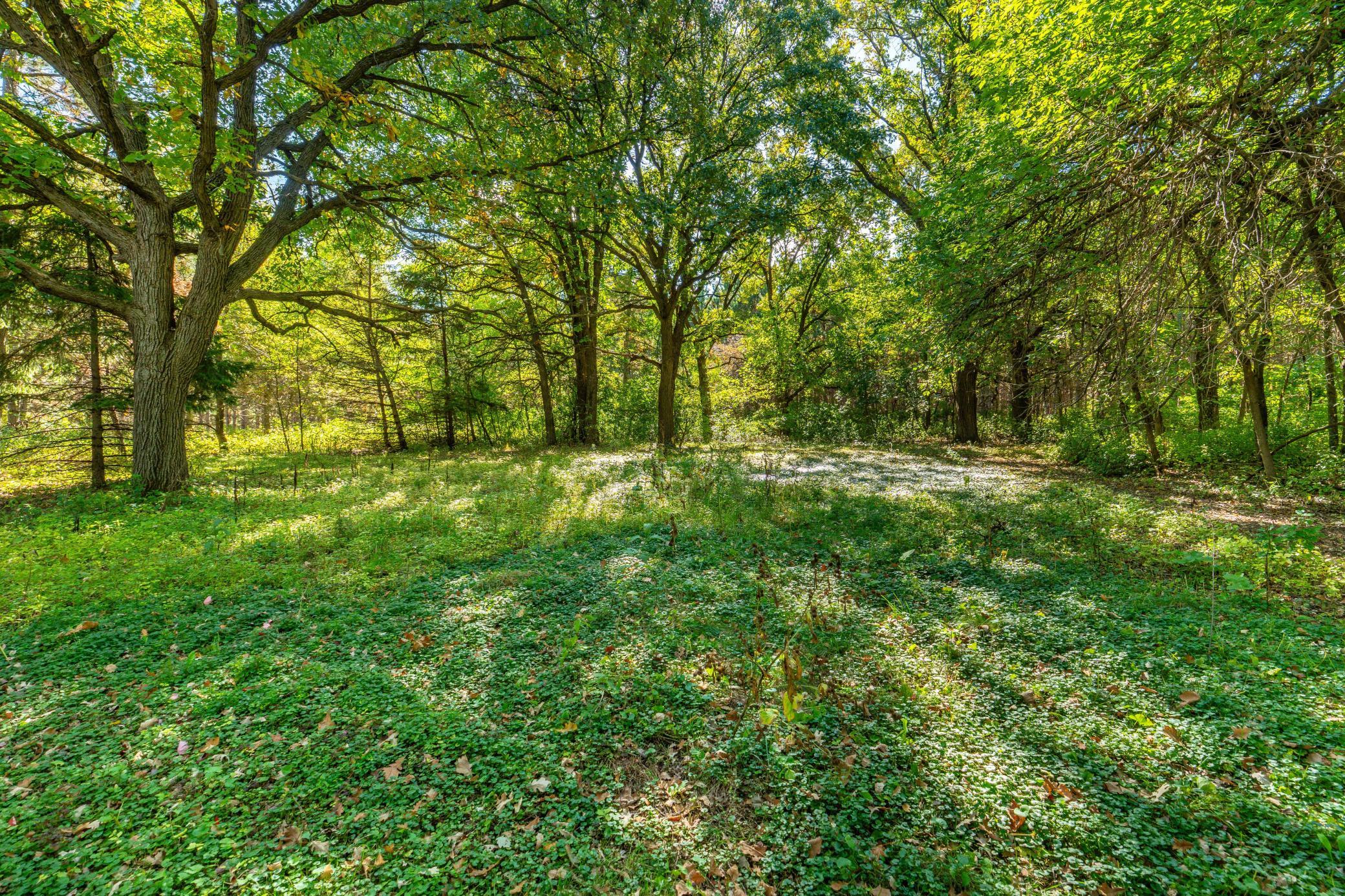 1976 single family home for sale at 36117 US 71 in Eagle Bend, MN — 4 bed, 2 bath (photo 61 of 74)