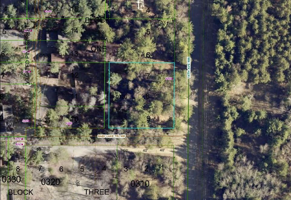 land for sale at 4265 14th Avenue NW in Hackensack, MN (photo 6 of 8)