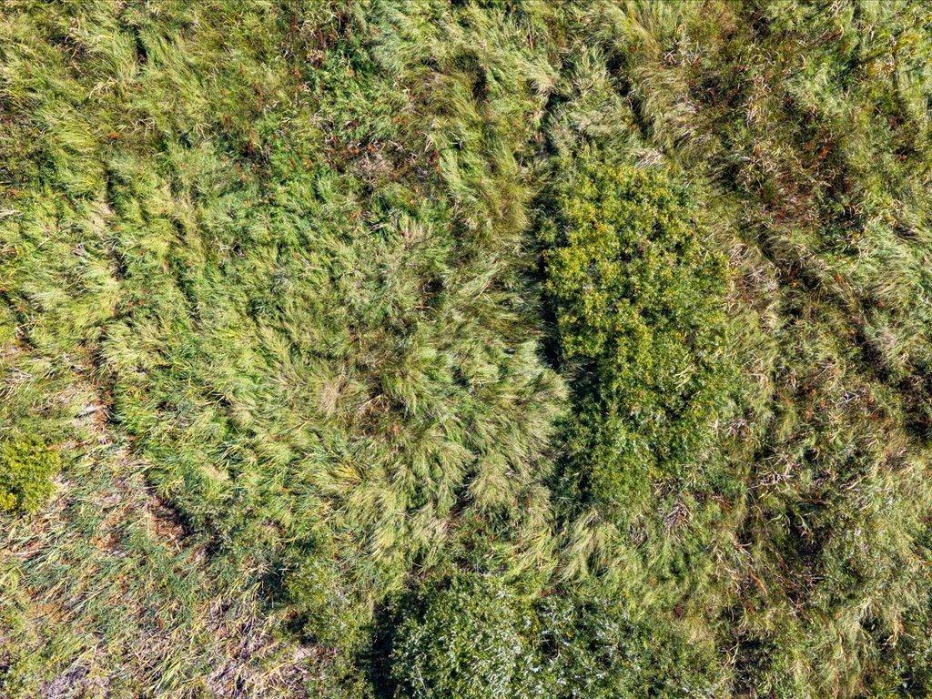 land for sale at TBD 96th Street SW in Motley, MN (photo 15 of 80)
