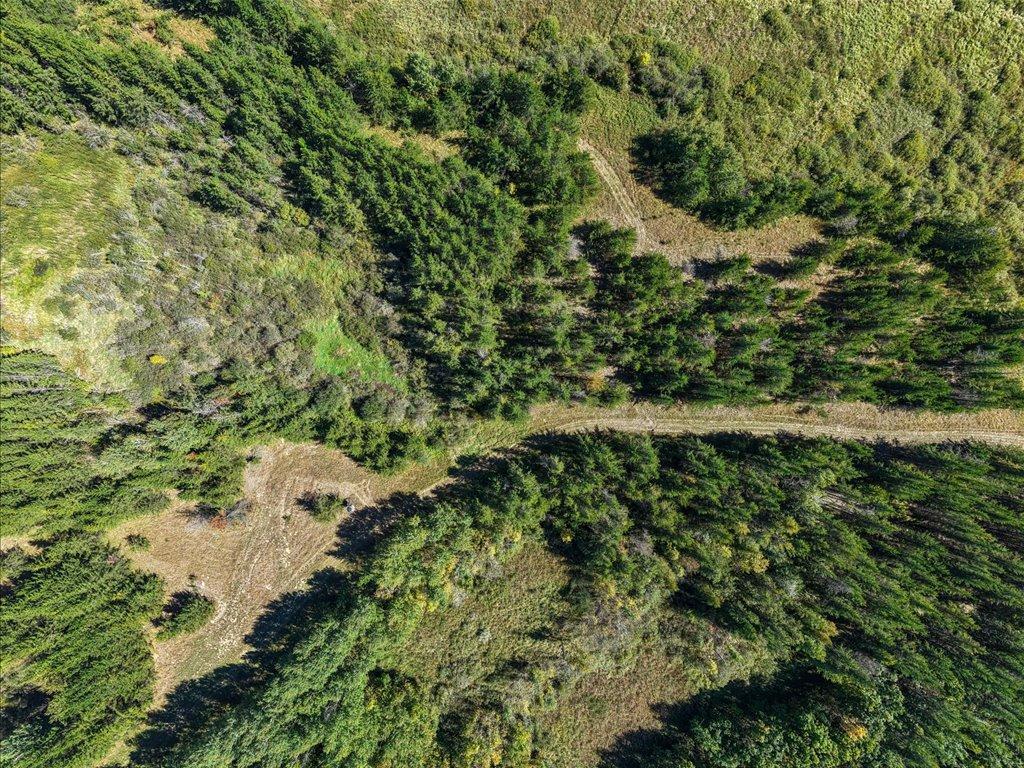 land for sale at TBD 96th Street SW in Motley, MN (photo 16 of 80)