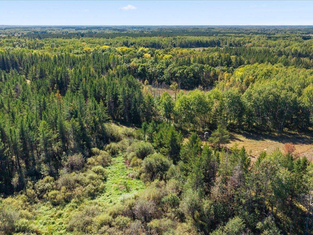 land for sale at TBD 96th Street SW in Motley, MN (photo 17 of 80)