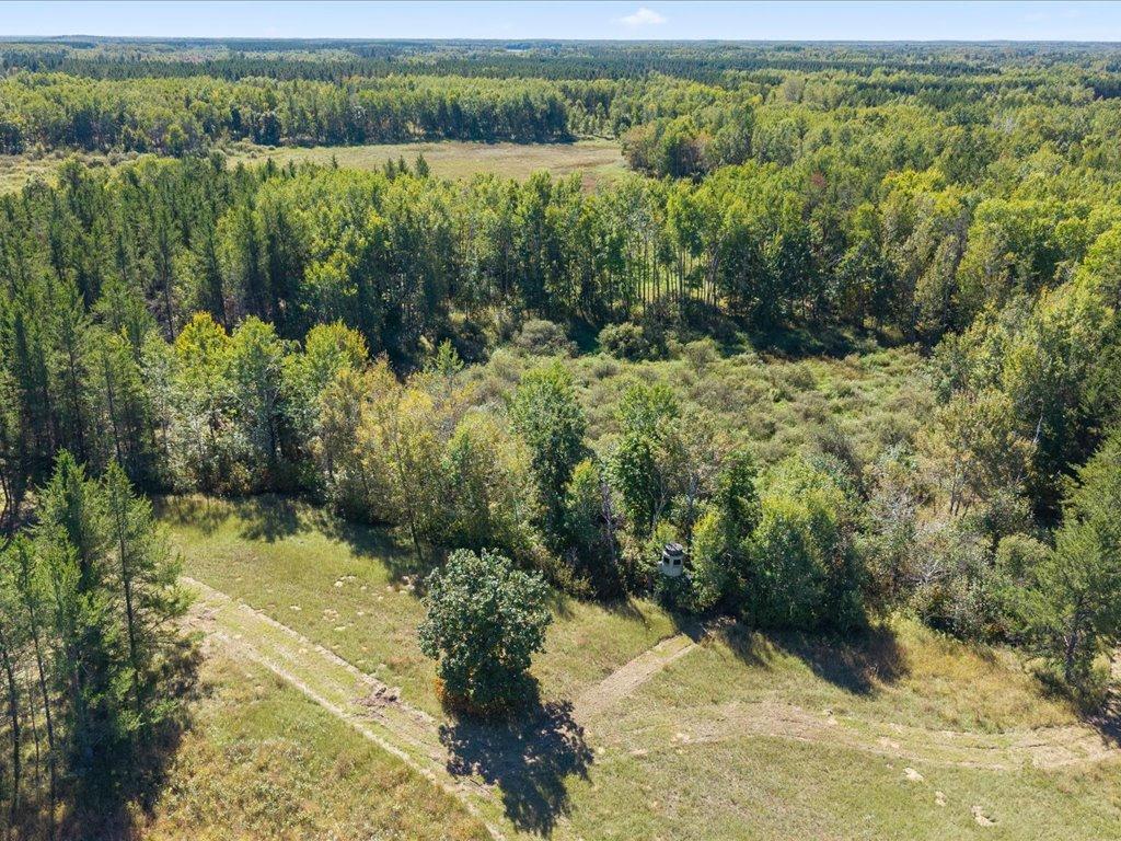 land for sale at TBD 96th Street SW in Motley, MN (photo 20 of 80)
