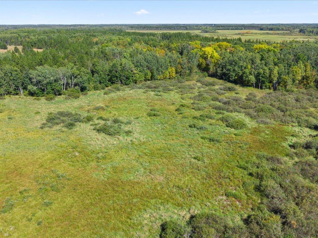 land for sale at TBD 96th Street SW in Motley, MN (photo 21 of 80)