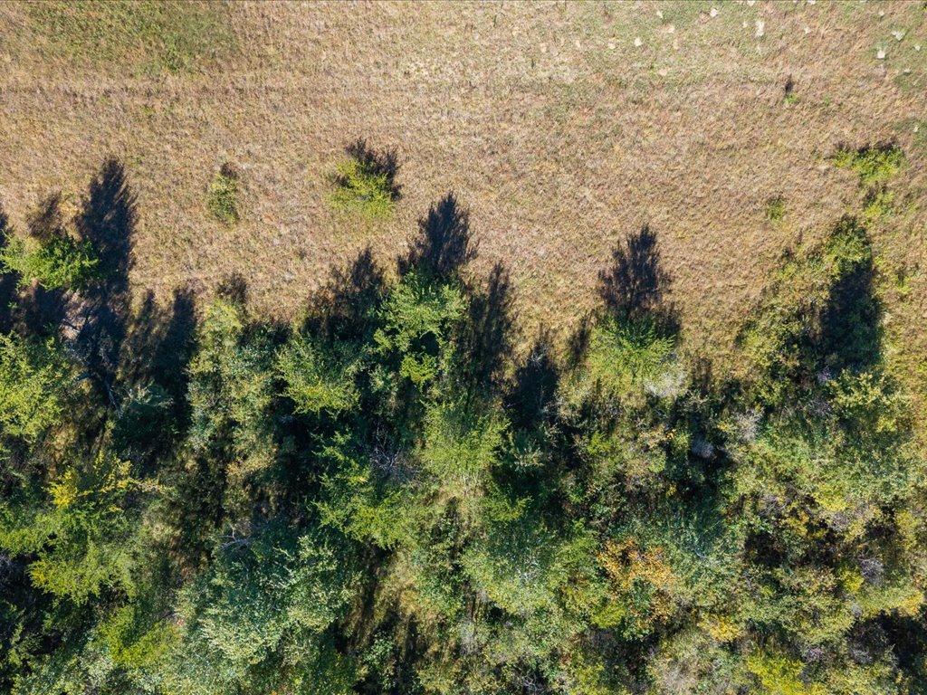 land for sale at TBD 96th Street SW in Motley, MN (photo 29 of 80)
