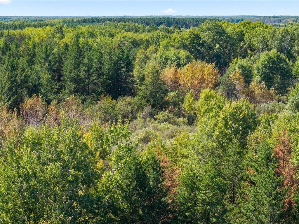land for sale at TBD 96th Street SW in Motley, MN (photo 31 of 80)