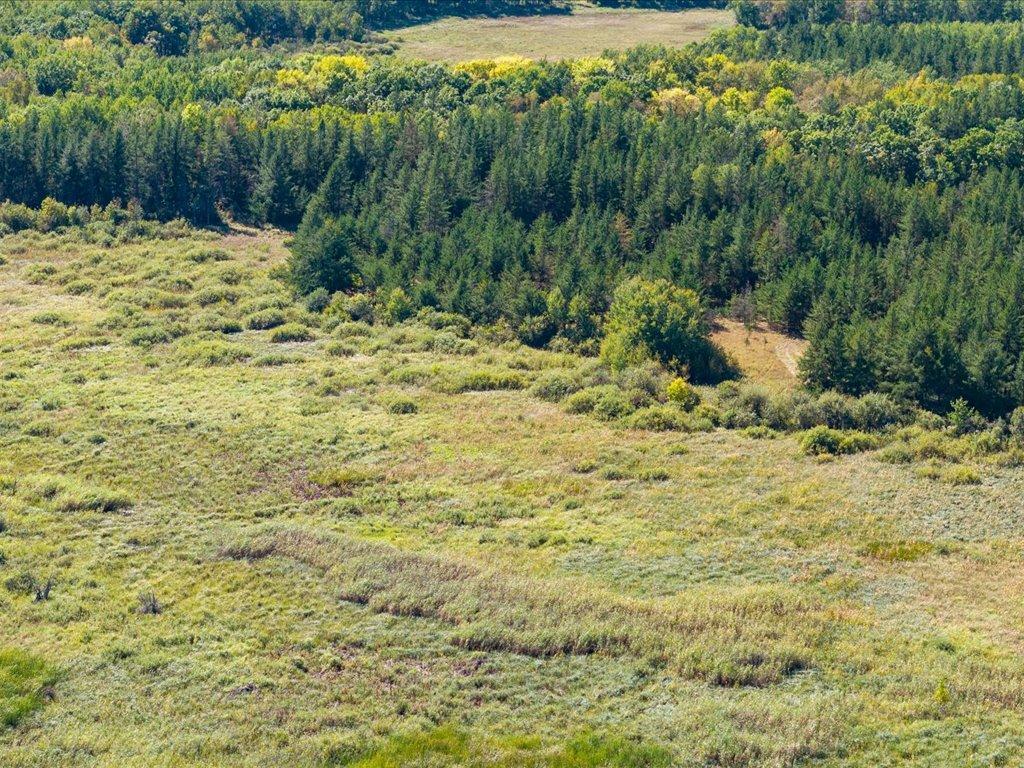 land for sale at TBD 96th Street SW in Motley, MN (photo 33 of 80)