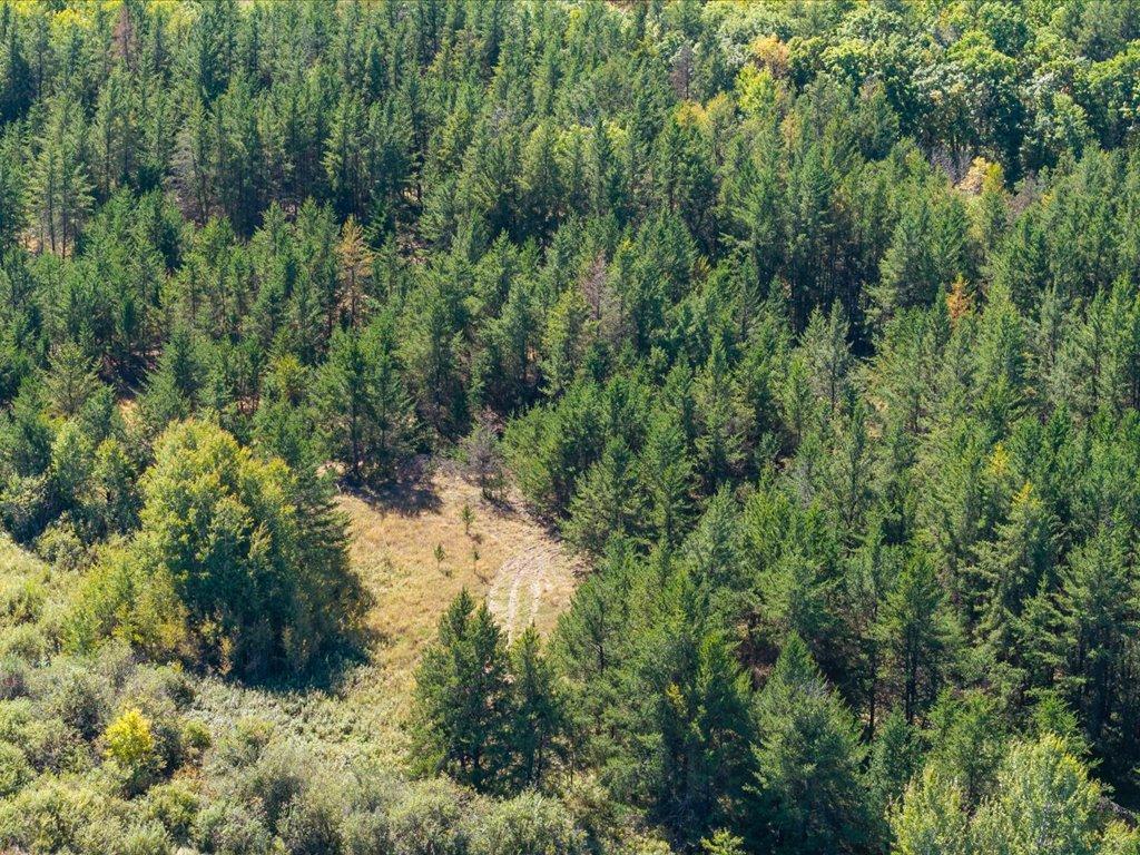 land for sale at TBD 96th Street SW in Motley, MN (photo 34 of 80)