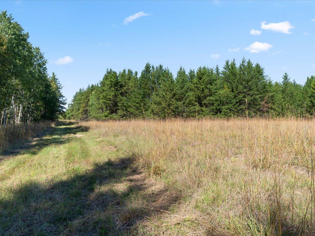 land for sale at TBD 96th Street SW in Motley, MN (photo 36 of 80)