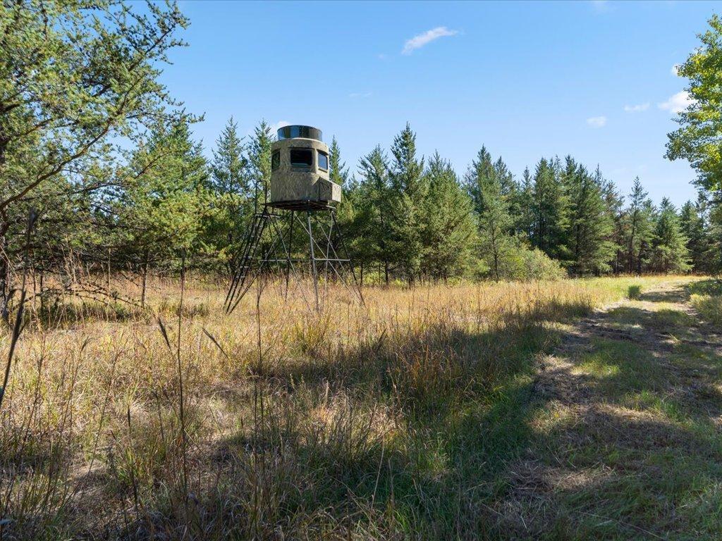 land for sale at TBD 96th Street SW in Motley, MN (photo 37 of 80)