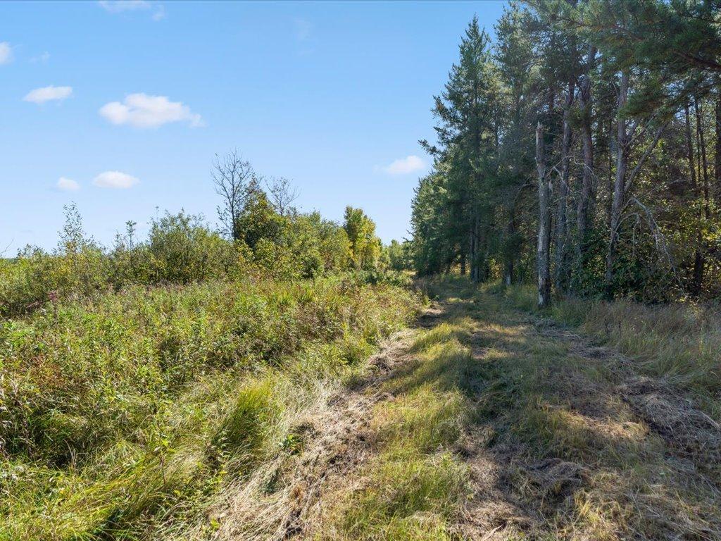 land for sale at TBD 96th Street SW in Motley, MN (photo 38 of 80)