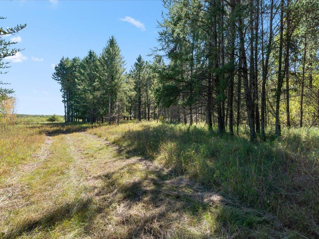 land for sale at TBD 96th Street SW in Motley, MN (photo 40 of 80)