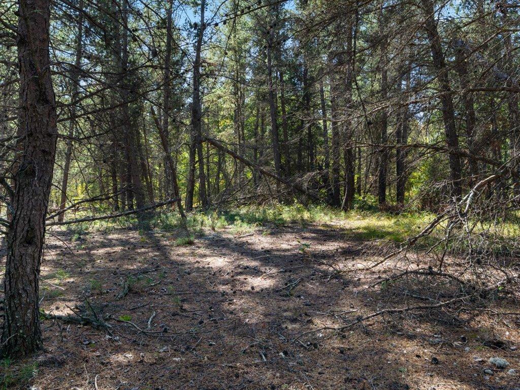 land for sale at TBD 96th Street SW in Motley, MN (photo 41 of 80)