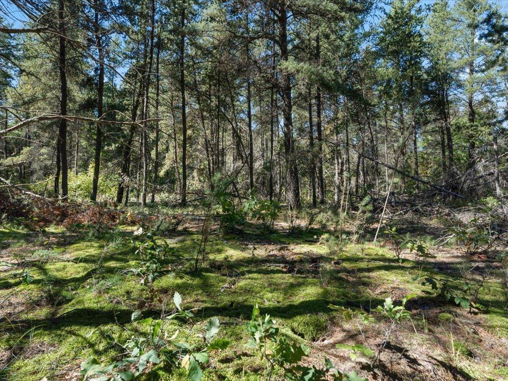 land for sale at TBD 96th Street SW in Motley, MN (photo 42 of 80)