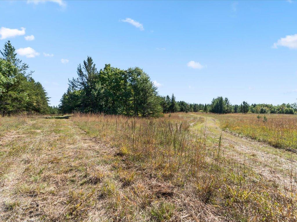 land for sale at TBD 96th Street SW in Motley, MN (photo 43 of 80)