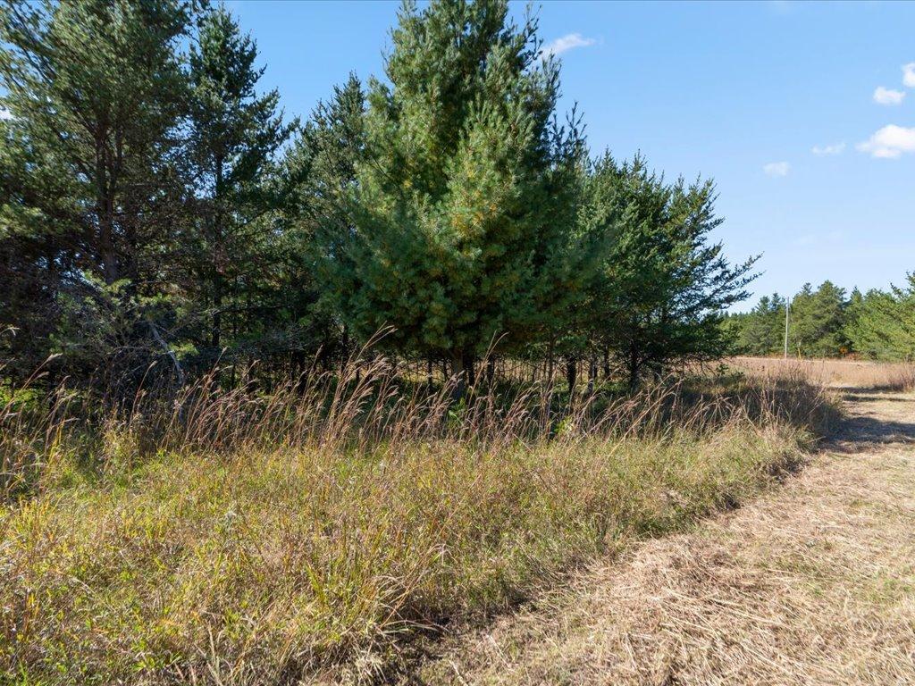 land for sale at TBD 96th Street SW in Motley, MN (photo 44 of 80)