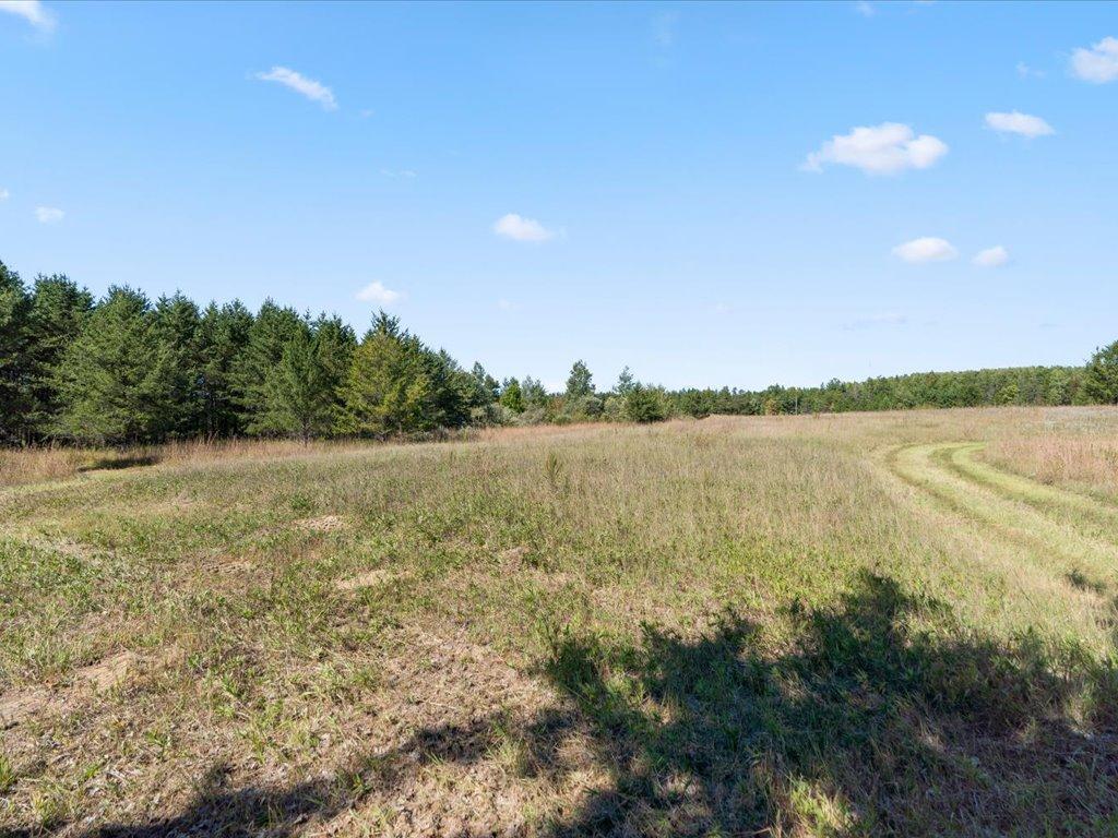 land for sale at TBD 96th Street SW in Motley, MN (photo 46 of 80)