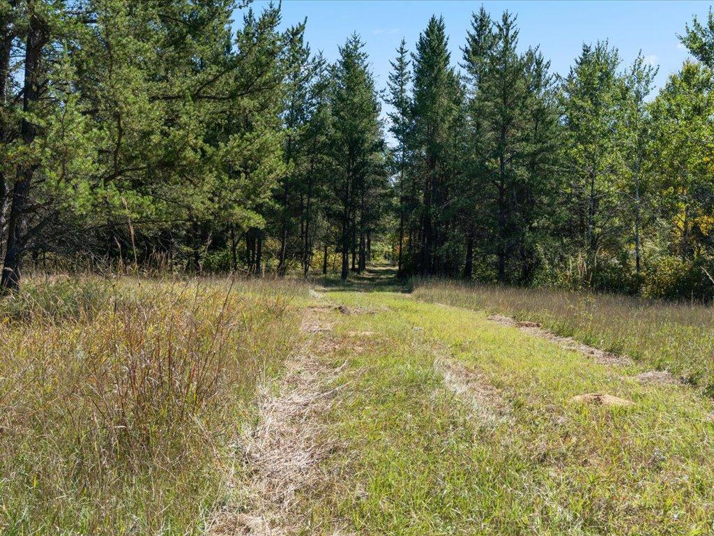 land for sale at TBD 96th Street SW in Motley, MN (photo 48 of 80)