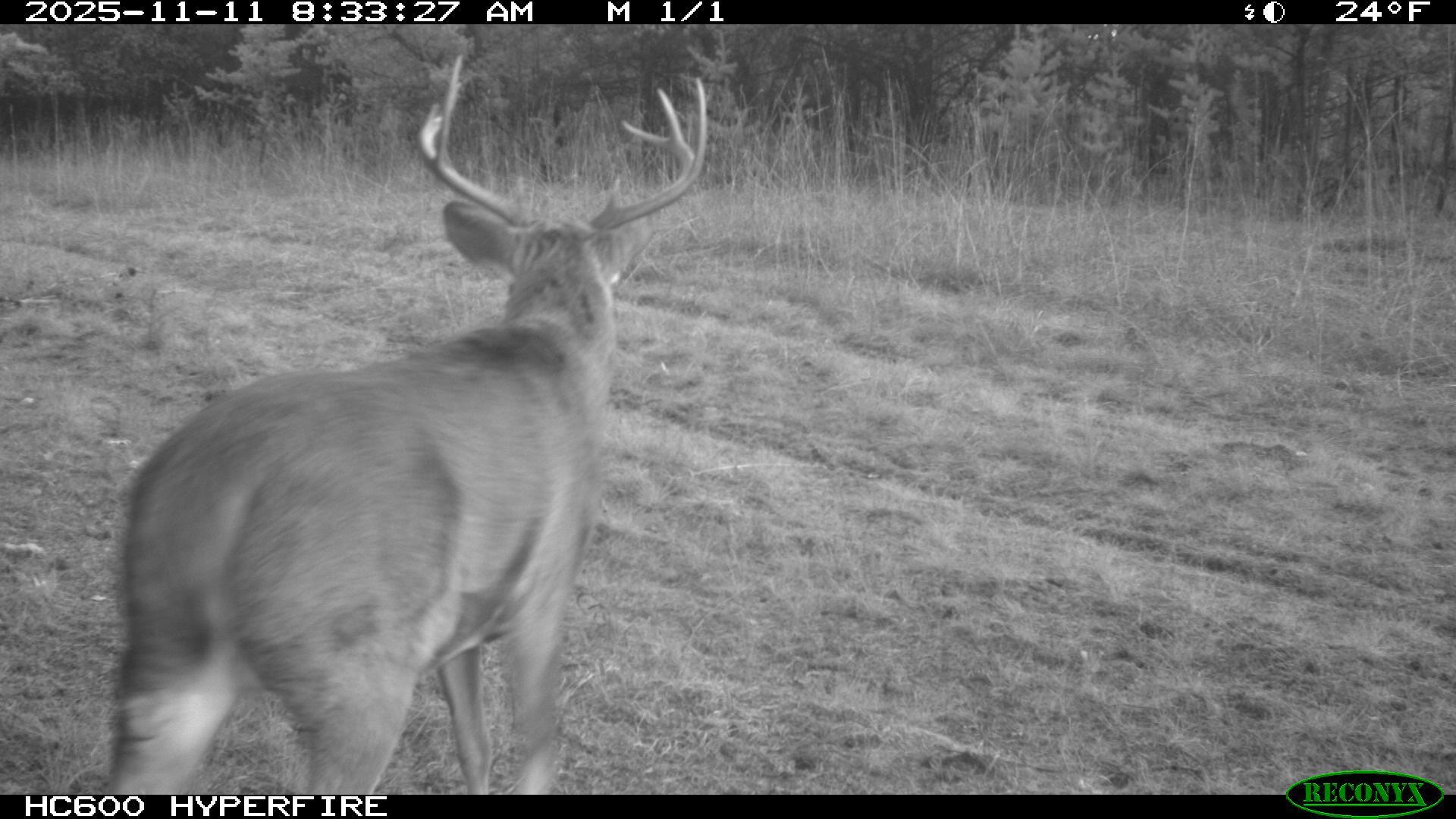 land for sale at TBD 96th Street SW in Motley, MN (photo 50 of 80)