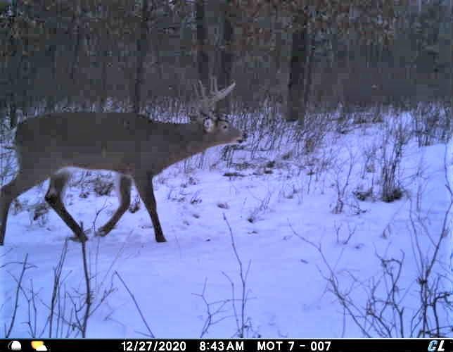 land for sale at TBD 96th Street SW in Motley, MN (photo 57 of 80)