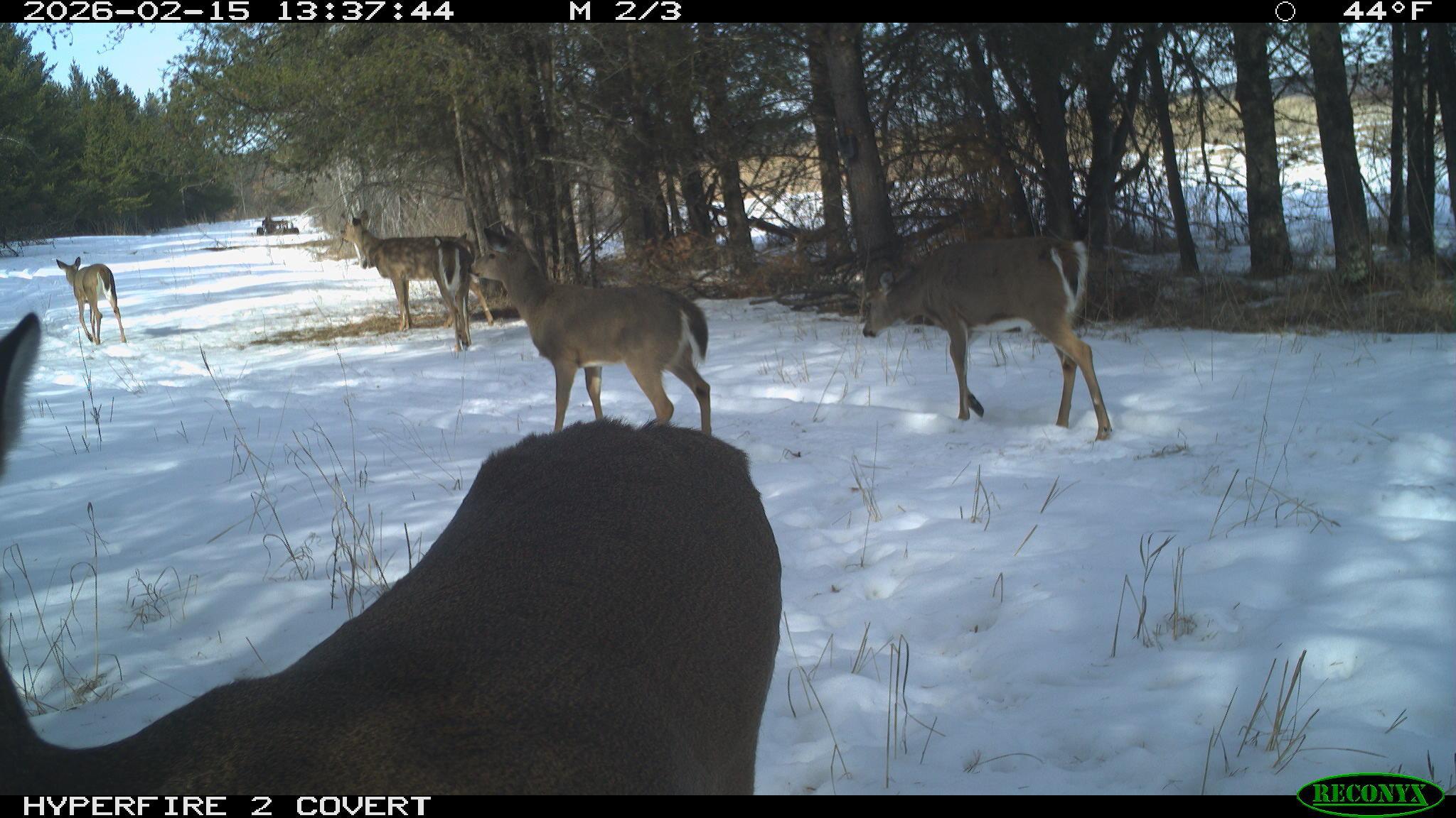 land for sale at TBD 96th Street SW in Motley, MN (photo 58 of 80)