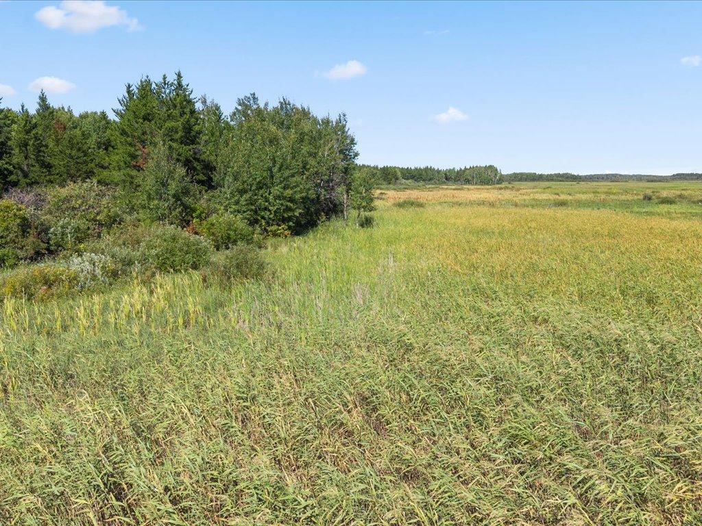 land for sale at TBD 96th Street SW in Motley, MN (photo 8 of 80)